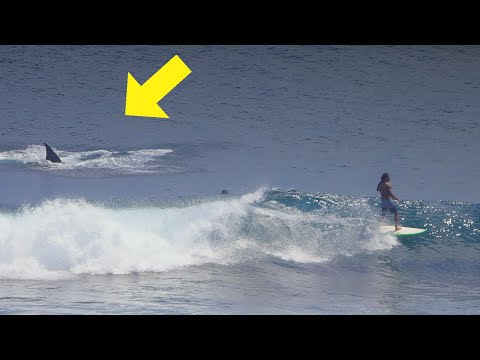 Oh My God! - Uluwatu, 14 August 2020