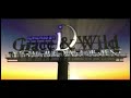 Grace Wild Interactive Development 2000 2004