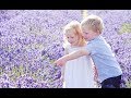 LAVENDER FIELDS Charlton