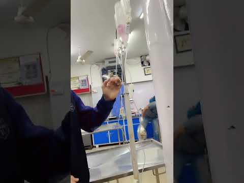 kudrat putt ❣️❣️ purrsian cat