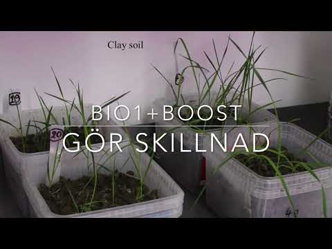 Hasta Året 2025 utvecklingen fortsätter 251125