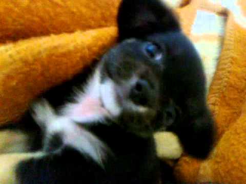 Billy Vs Lolyta↲ Final Round!!