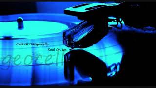 Soul On Ice ~ Meshell Ndegeocello