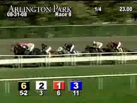 ARLINGTON PARK, 2008-08-31, Race 8