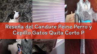 Reseña del Candure Peine Perro y Cepillo Gatos Quita Corto Pelo Muerto de Mascotas Acero Inoxidable