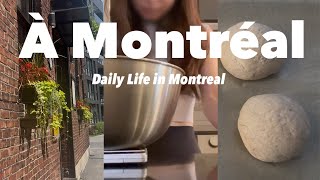 【モントリオール生活】 パン作り/ West Bay 散歩