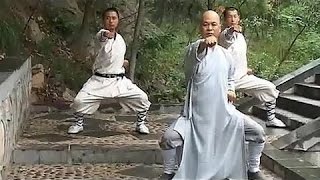 Shaolin 8-part internal kung fu (ba duan jin)