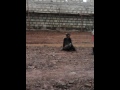 Meru County Old Man Totally Drunk