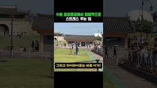 수원 화성행궁에서 합법적으로 스트레스 푸는 법