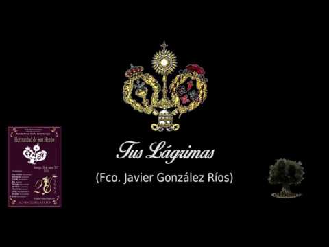 BCT Sangre - Tus Lágrimas