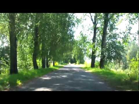 Не вошедшее в фильм