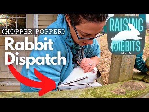 Raising Meat Rabbits: Dispatching a Rabbit Humanely