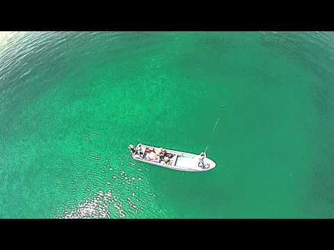 Small drone risks to aircraft 'minimal'