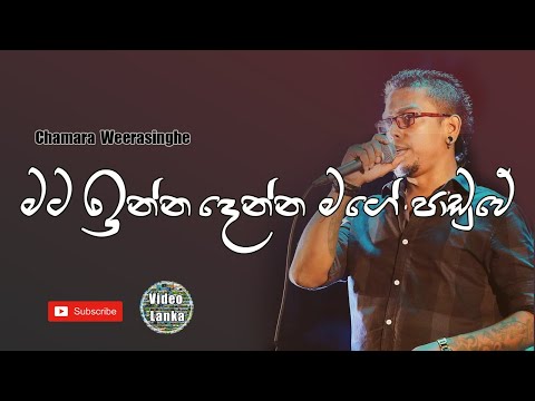Mata Inna Denna Mage Paduwe | Sinhala Songs | Chamara Weerasinghe