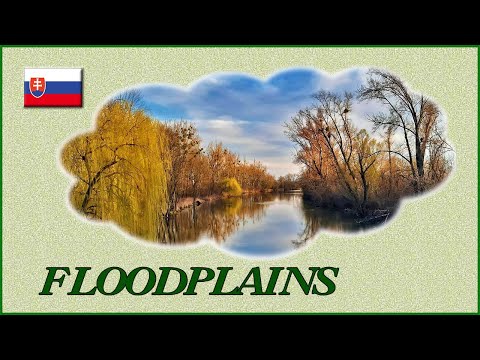 Slovakia (Danube Floodplains ) - Steve