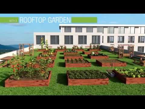 IBT Connecting Energies