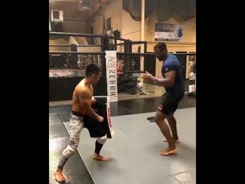 Francis Ngannou Kicking Teammate #Shorts #FrancisNgannou