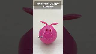 日本語って難しいね #gundam #gunpla #ガンプラ #ガンダム #ガンダムseed #short #shorts