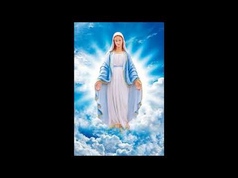 Kancionál č. 922 – Matičko Kristova