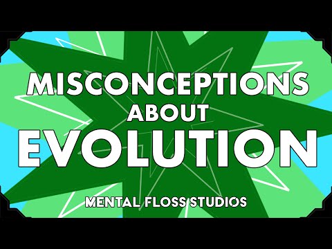Misconceptions About Evolution | Mental Floss