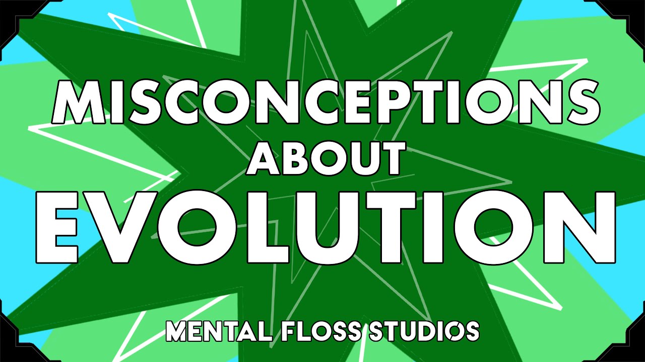 Misconceptions About Evolution | Mental Floss