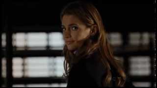 Castle&Beckett-Ledge of Love