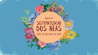 Projeto de Sistematização dos NEAs: Lições na Construção do Saber