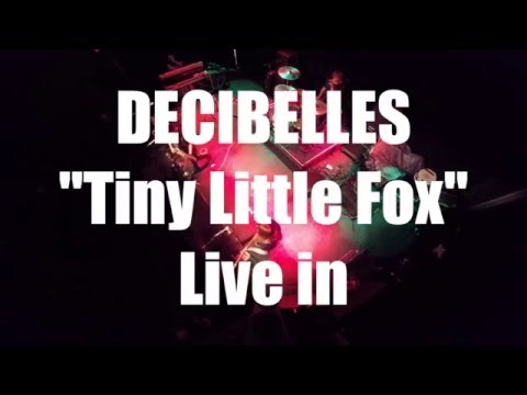 DECIBELLES - Tiny Little Fox LIVE - October 2015 Tour Report