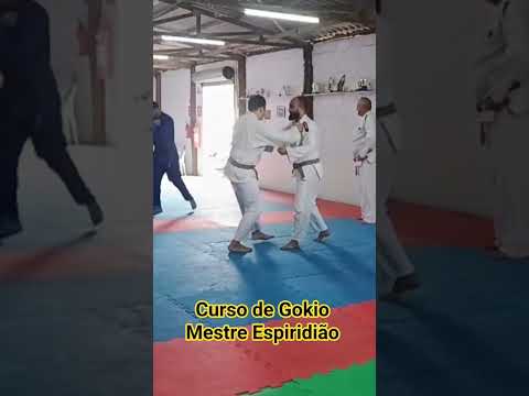 #curso de Gokio #santaisabel #saopaulo mestre Espiridião