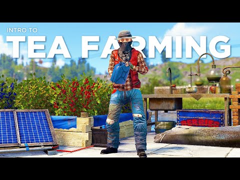 Intro to Tea Farming in Rust