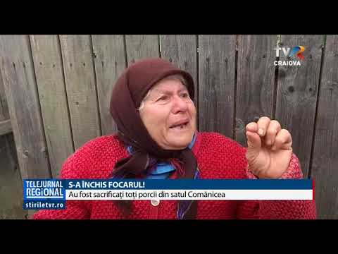 S-A ÎNCHIS FOCARUL! Au fost sacrificaţi toţi porcii din satul Comănicea