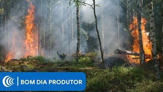 Miniatura do vídeo