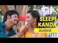 Sleepi Kanda Meenu Full Audio Maniyaar Kudumbam Karthik Chinmayi Umapathy Ramaiah Mrudula