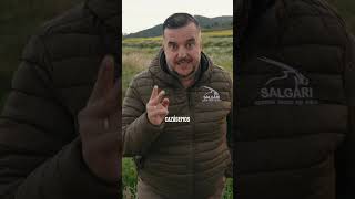 La caza salva vidas en la carretera!! #caza