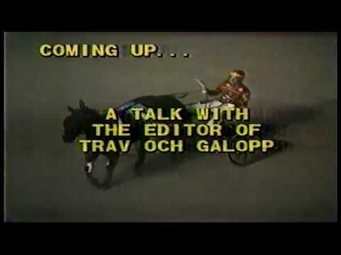 1982 Roosevelt Raceway Open Pace -  Bonzo Hanover