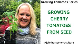 HOW TO GROW GARDENER'S DELIGHT TOMATOES FROM SEED - SOWING CHERRY 🍅