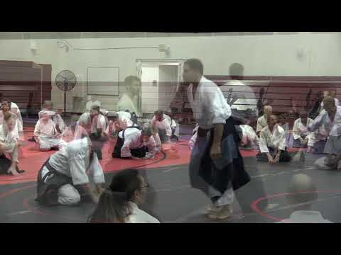 Birankai Aikido Summer Camp 2019 - F. Apodaca, Shihan, Class 1