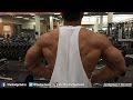 Shoulders Traps Biceps Workout Hodgetwins Hodgetwins