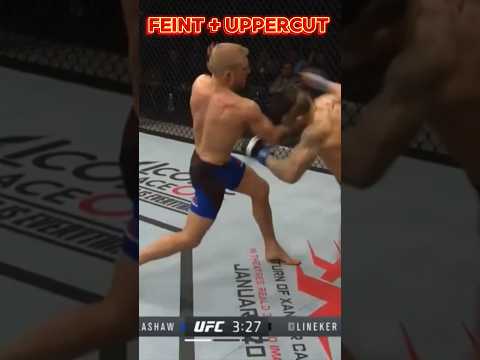 Feint + uppercut 🥊 #boxing #ufc #fighter #mma #kickboxing