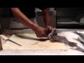 How To Pocket A Flounder