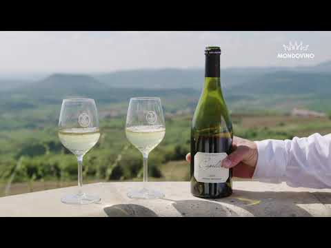Im Frühling im Weinbau bei Gérard Bertrand, Languedoc