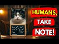 16 SURPRISING Facts About TUXEDO Cats You Never Knew Black And White Cats Cat Flix