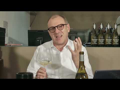 Meursault und seine Premiers Crus - Masterclass mit Frank Kämmer MS