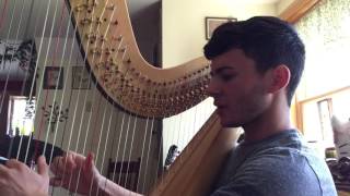 A Pin-Light Bent - Joanna Newsom Cover