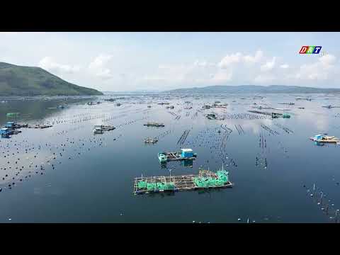 khan-truong-gia-co-long-be-thuy-san-truoc-du-bao-mua-lon