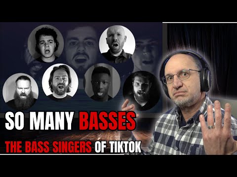 Oh my gosh... THE BASS SINGERS OF TIKTOK - "Hoist the Colours"