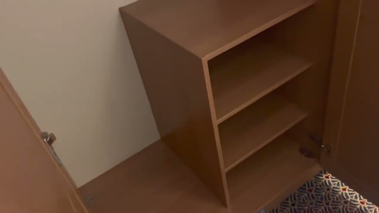 Disney Dream - Cabin 5542 - Video 1