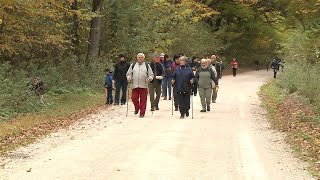 Tematikus túra a Zselicben