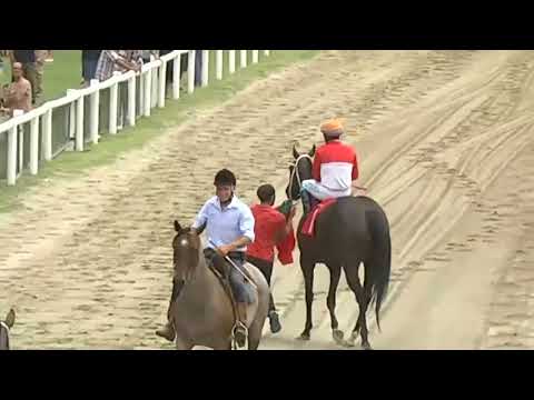 SINT COLONIA 230202 c01 1° NOE MASFEA