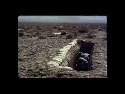 Lost Integrity - 1955